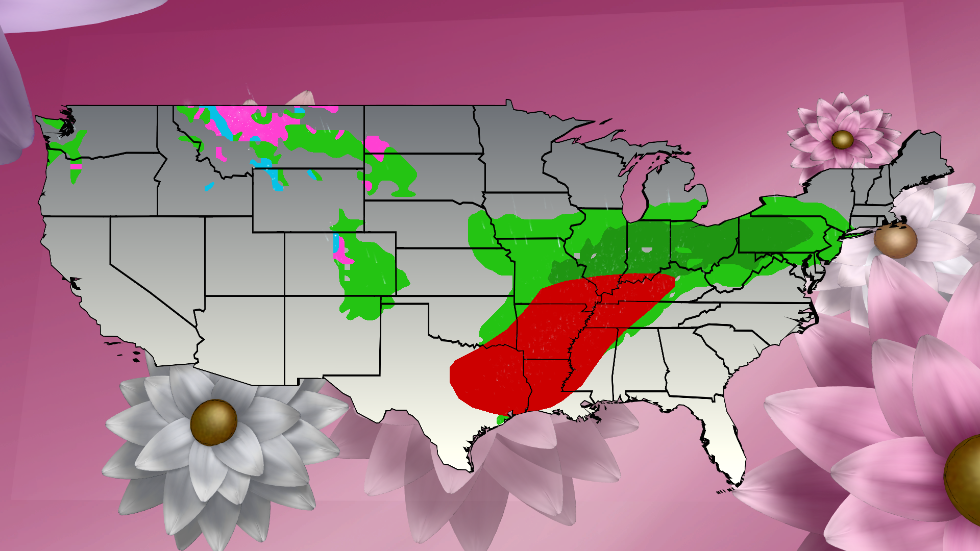 Dunnellon, FL Weather Forecast and Conditions The Weather Channel